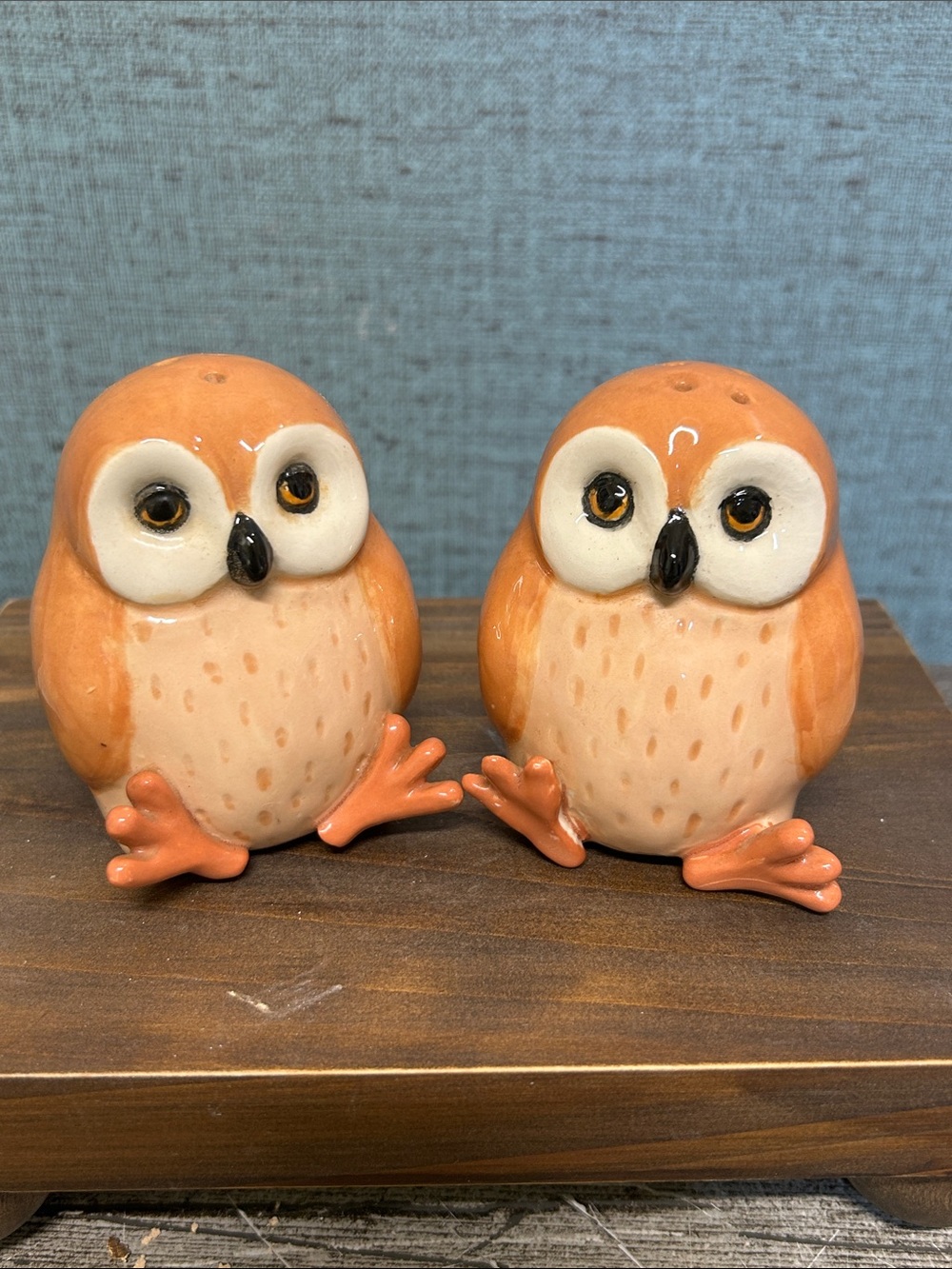 Charming Sweet Owl Salt and Pepper Shakers